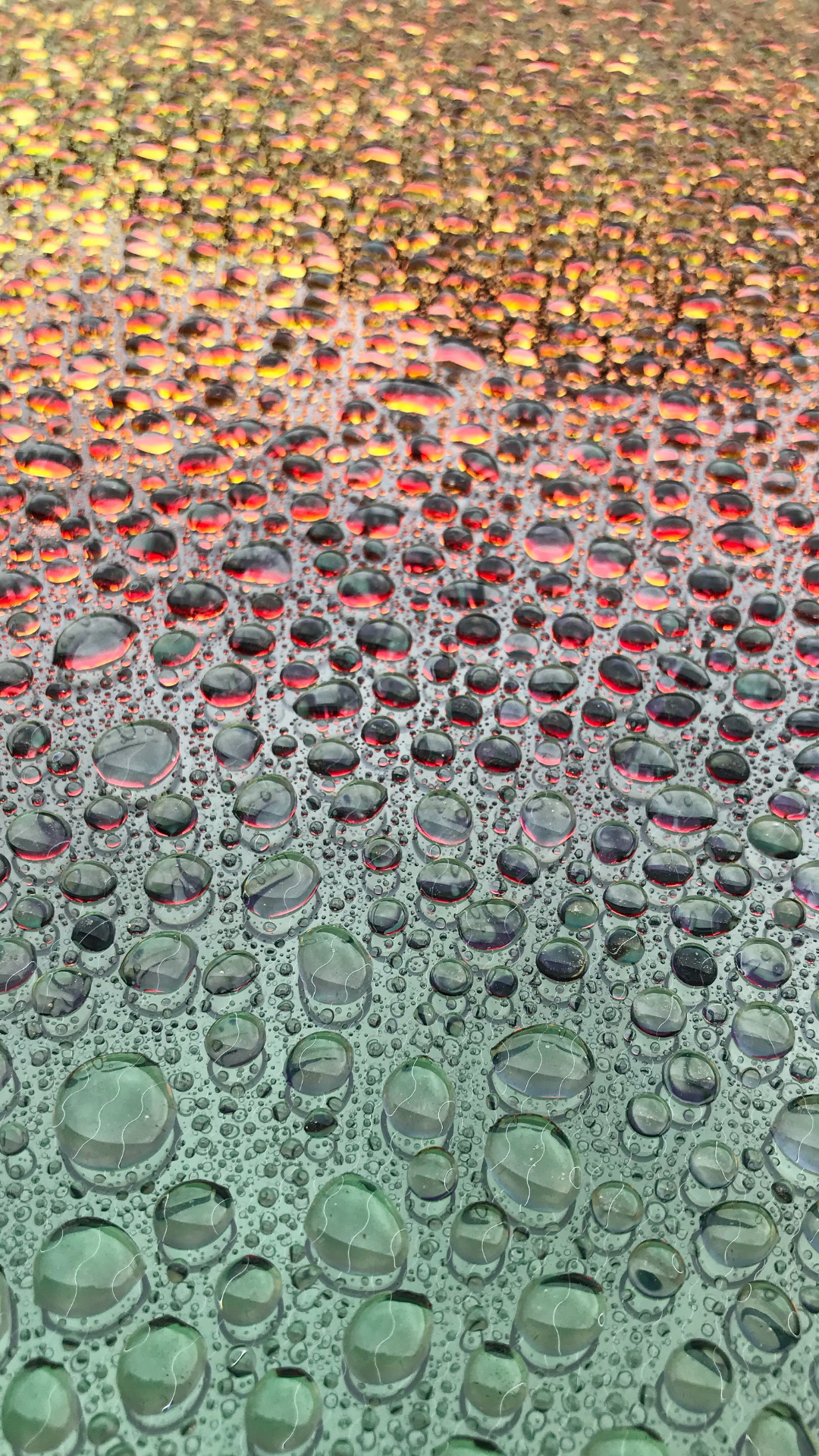 빗방울 배경화면 스마트폰 이미지 사진 그림 모음집