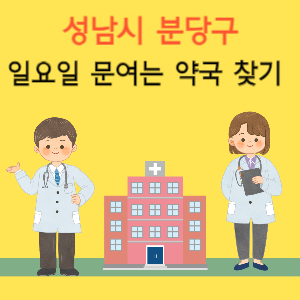 성남시 분당구 일요일 문여는 약국 찾기