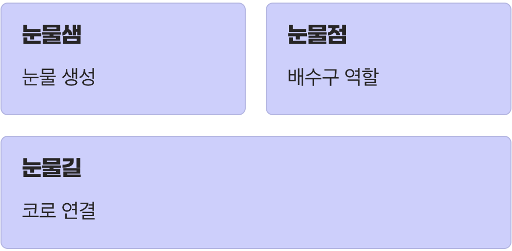 눈물의 배수구, 어디가 막힌 걸까?