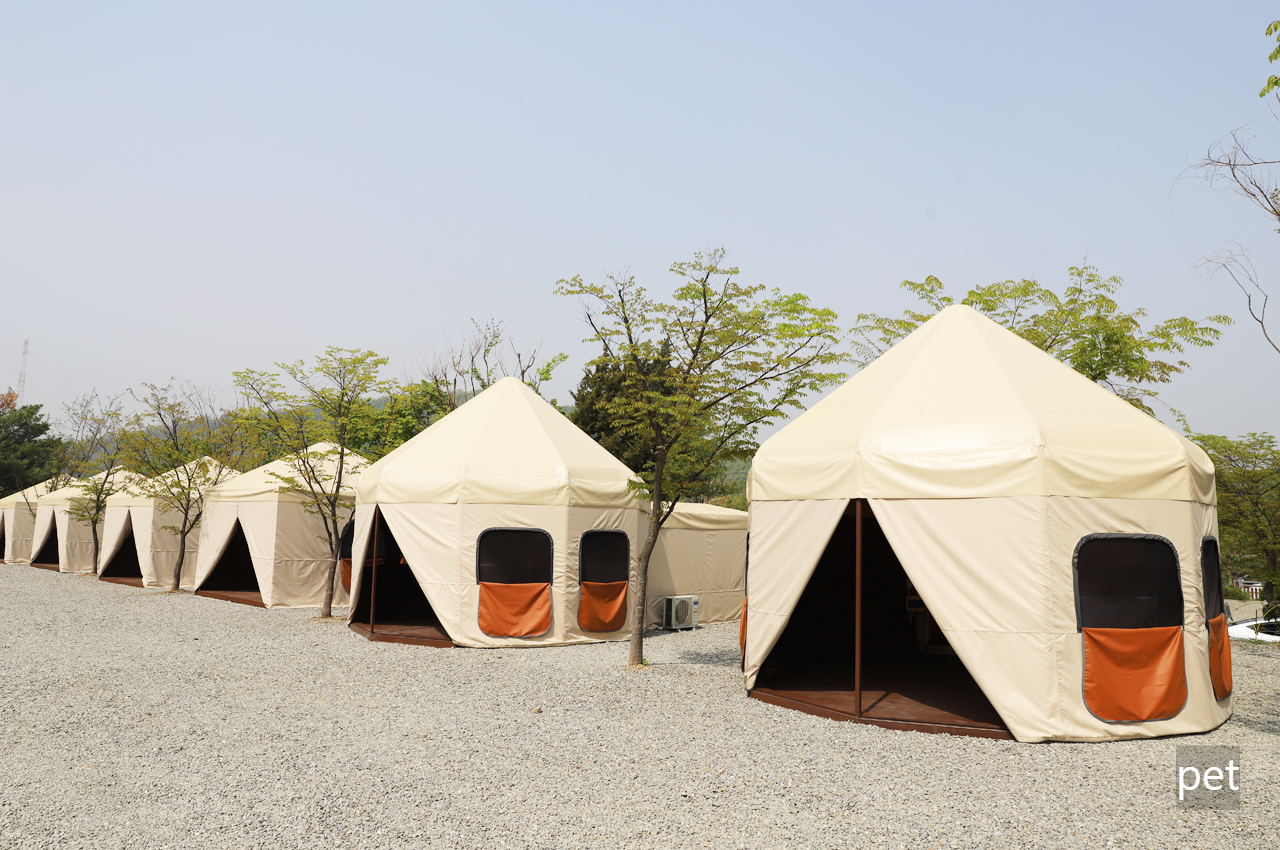 경기-연천-나린오토캠핑장-예약-방법-애견-동반-가격-주소-시간-후기