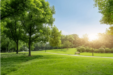 기초생활수급자혜택 산림복지바우처