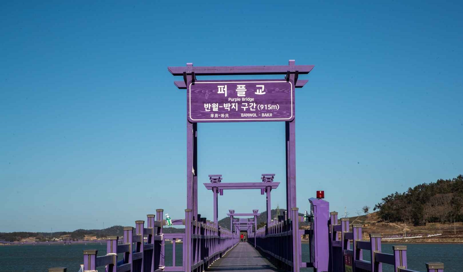 신안 퍼플섬