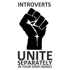 MBTI 중 INTJ 스트레스 해소법