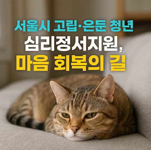 서울시 고립·은둔 청년 심리정서지원,