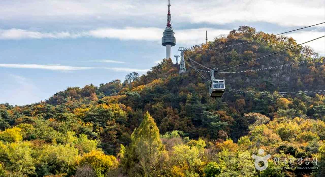남산 케이블카에서 바라본 남산의 모습. [ⓒ대한민국 구석구석]