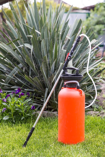 빈대퇴치