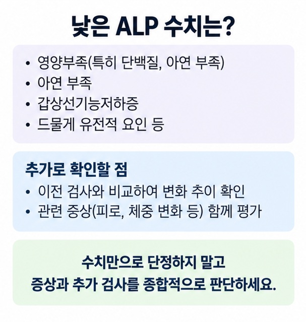 ALP가 낮을 때 영양부족 아연 부족 갑상선기능저하증 등 가능한 원인과 재검 및 의료진 상담 기준을 정리한 이미지
