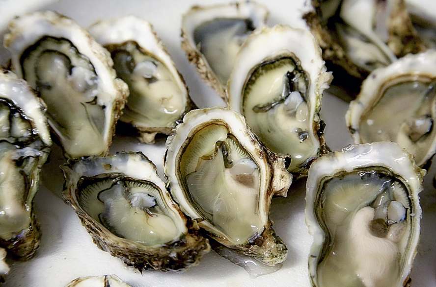 굴노로바이러스