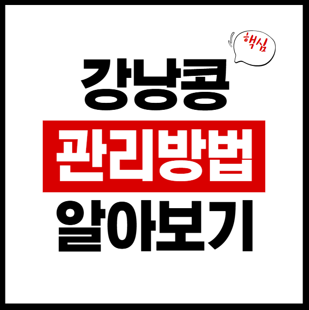 맛있는 강낭콩 키우기! 심는시기와 관리방법 알아보기