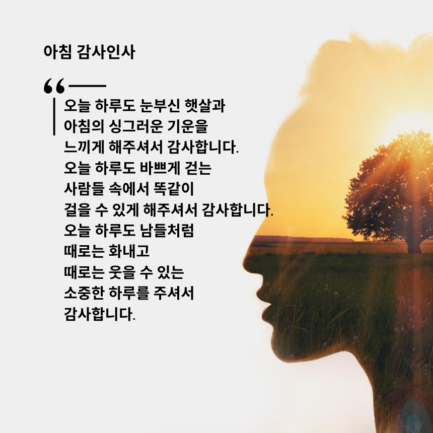 아침 인사로 좋은 글귀 이미지 문구 모음