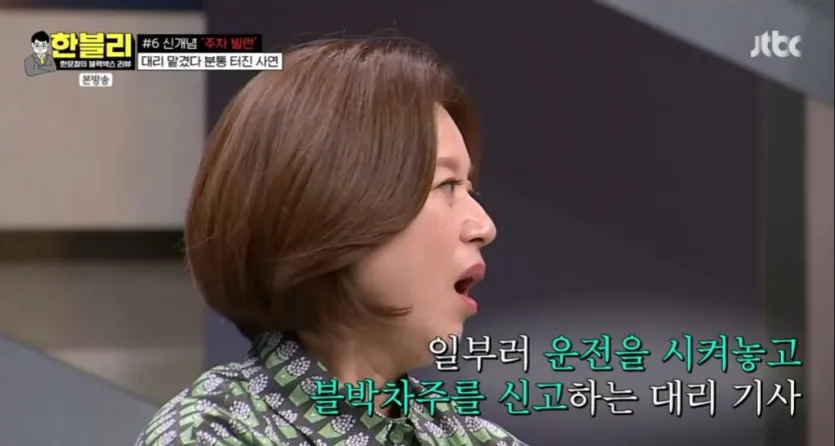 신개념 주차 빌런 대리 기사 24