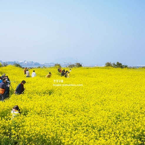 제주 성산일출봉