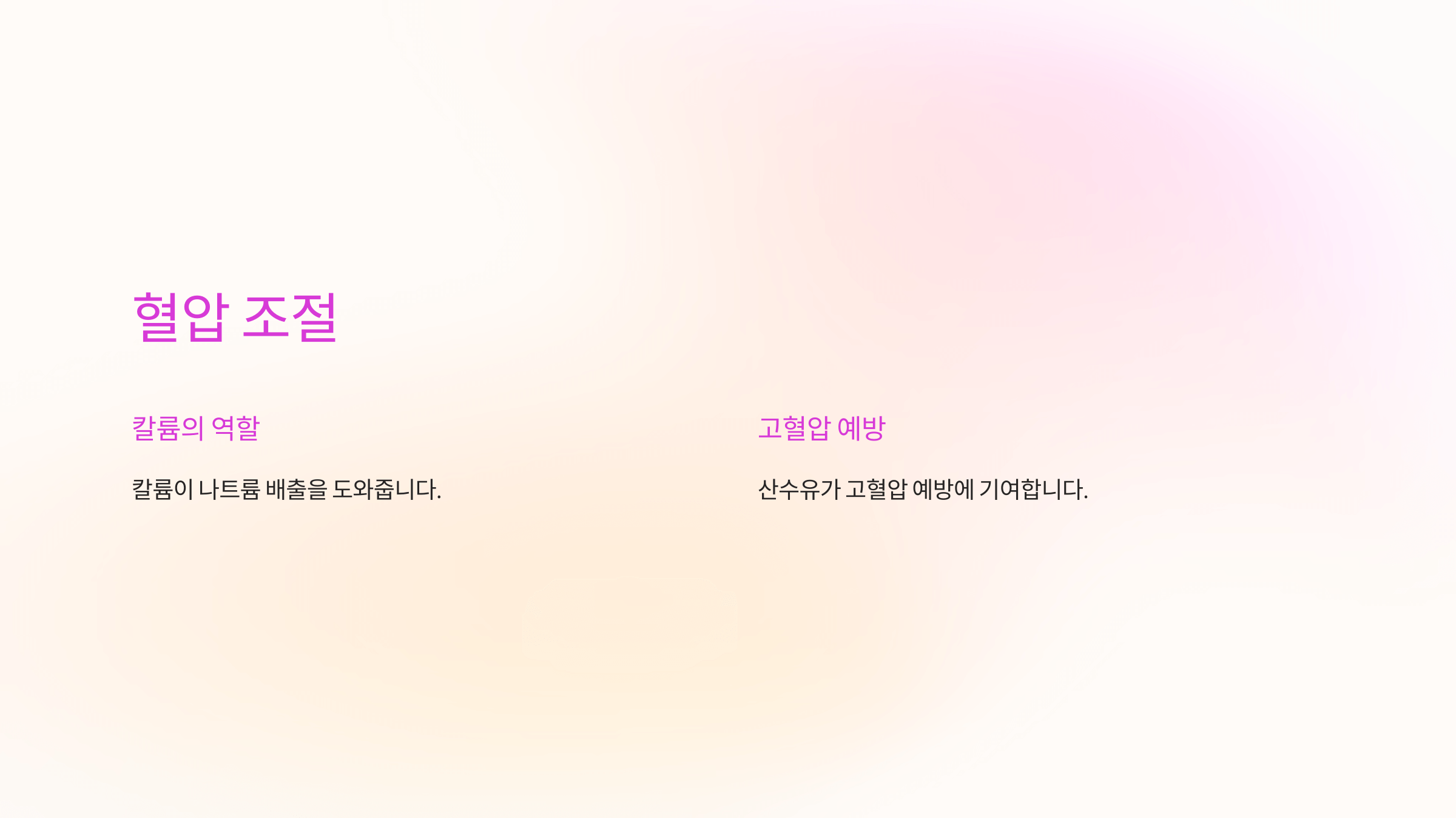 산수유 효능과 관련된 사진입니다.