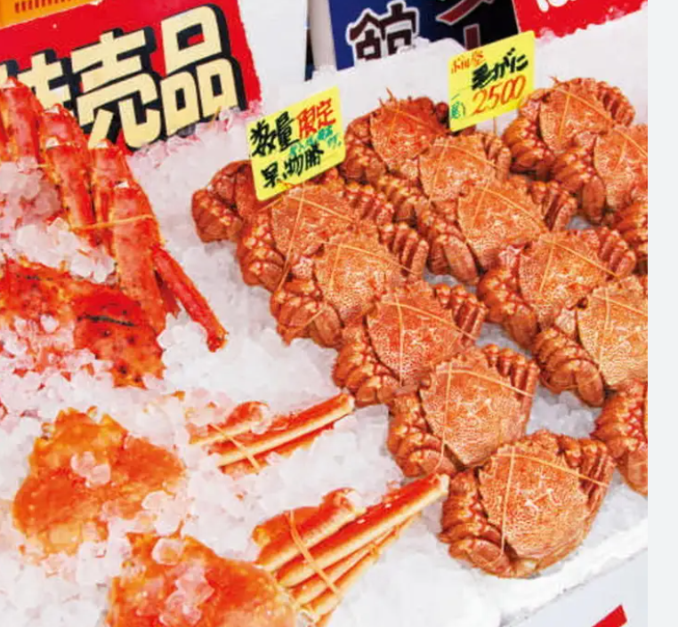 홋카이도 여행