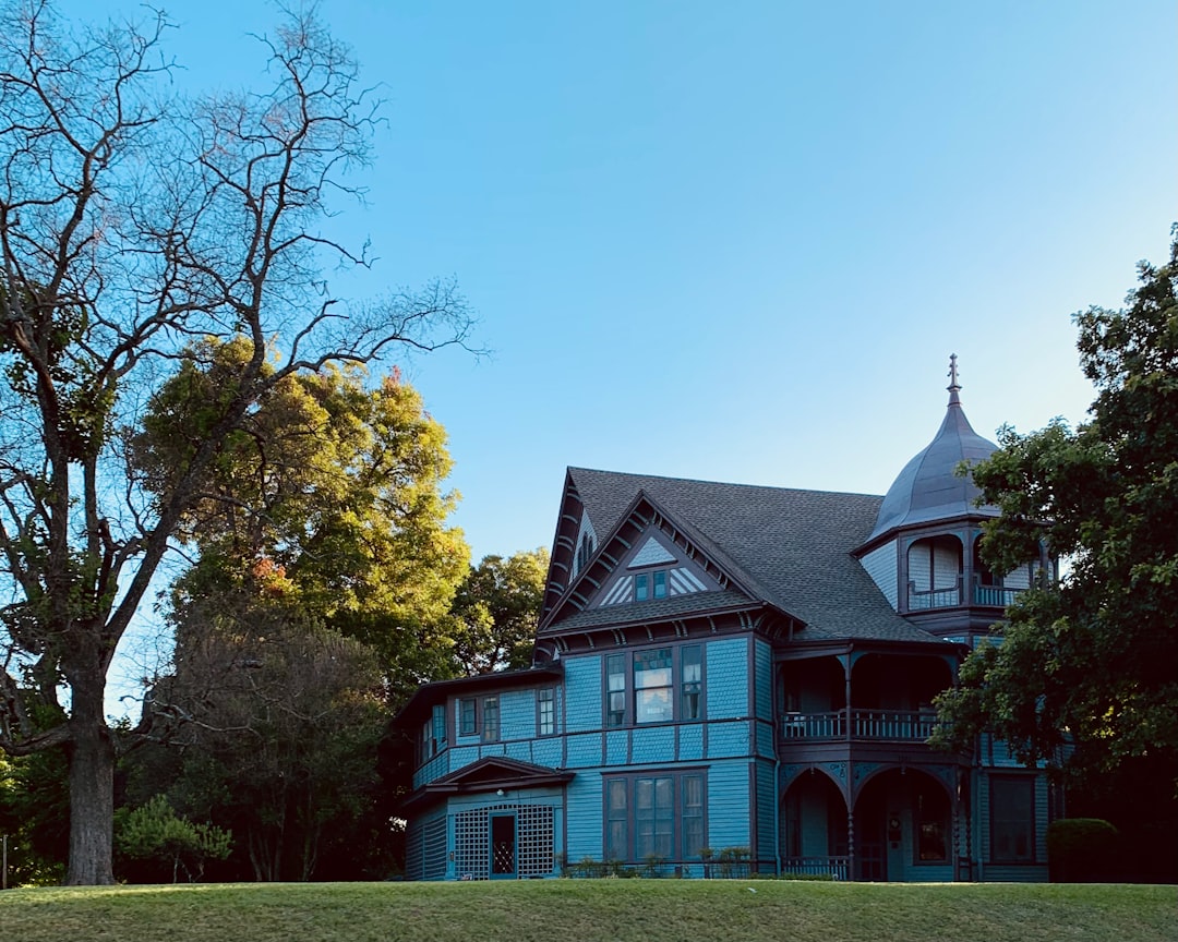 Blue House
