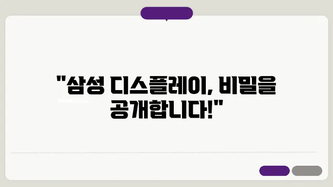 디스플레이 기술 체험