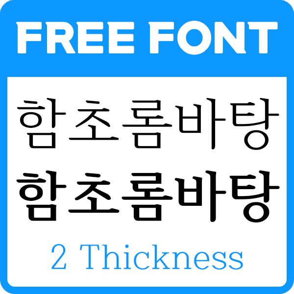 대표