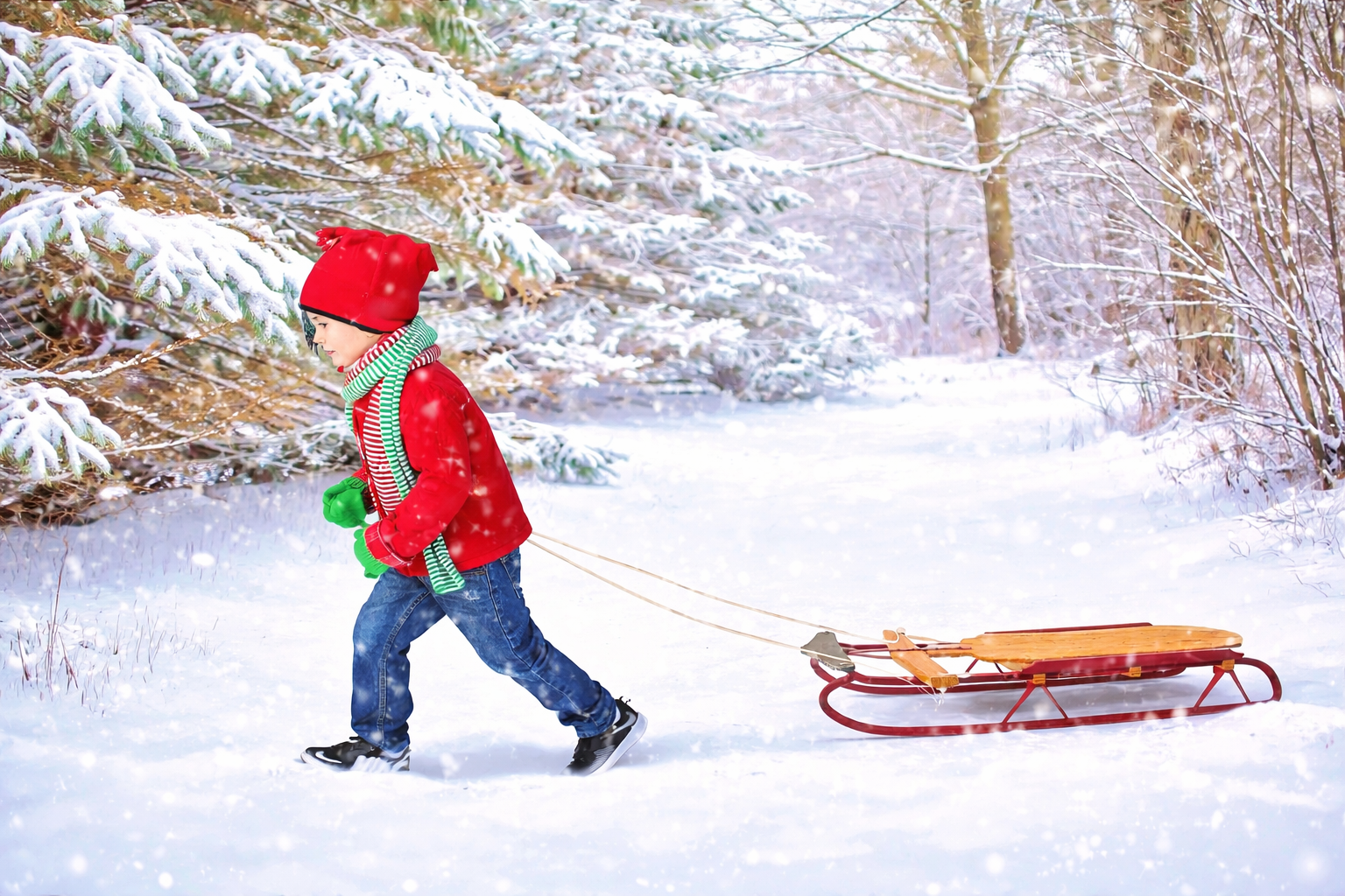 서울랜드 눈썰매장