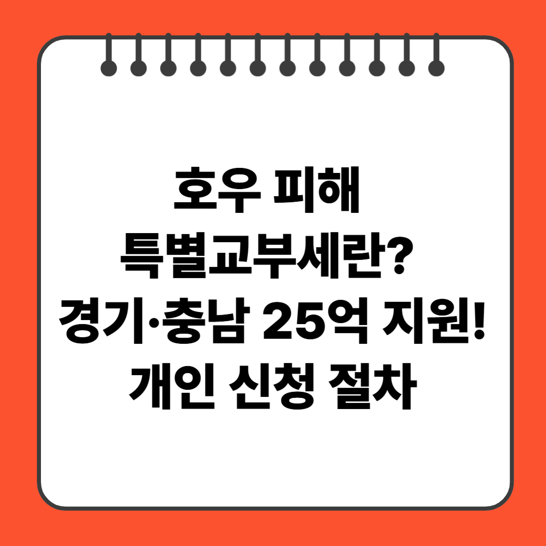 호우 피해 특별교부세란? 경기·충남 25억 지원! 개인 신청 절차