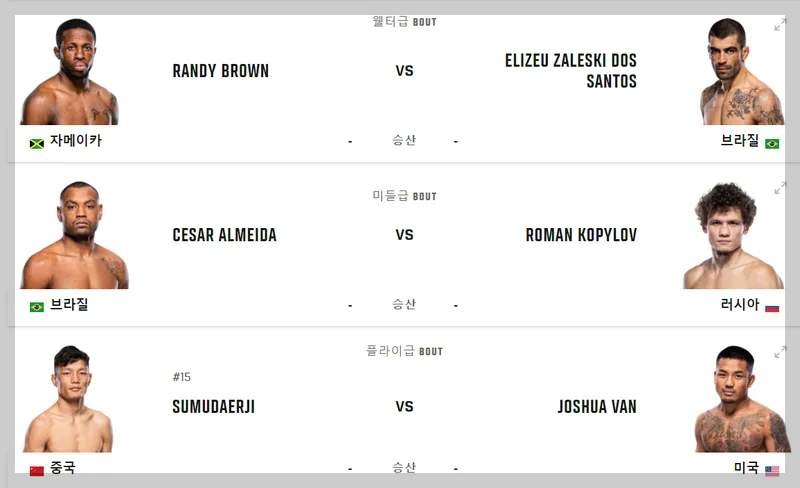UFC 302 대진