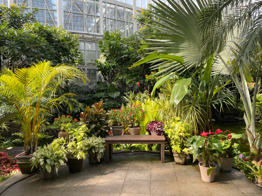 국립 세종수목원 사계절 전시온실 열대식물전시원