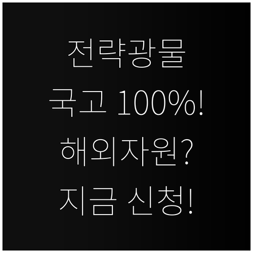 2025년 주요 전략 광물 확보 해외..