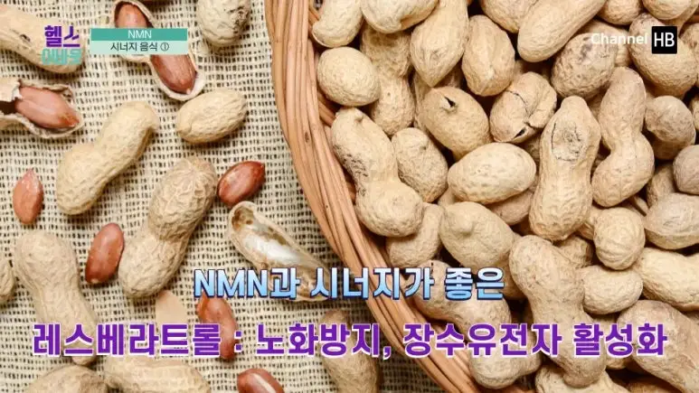 일본nmn효능