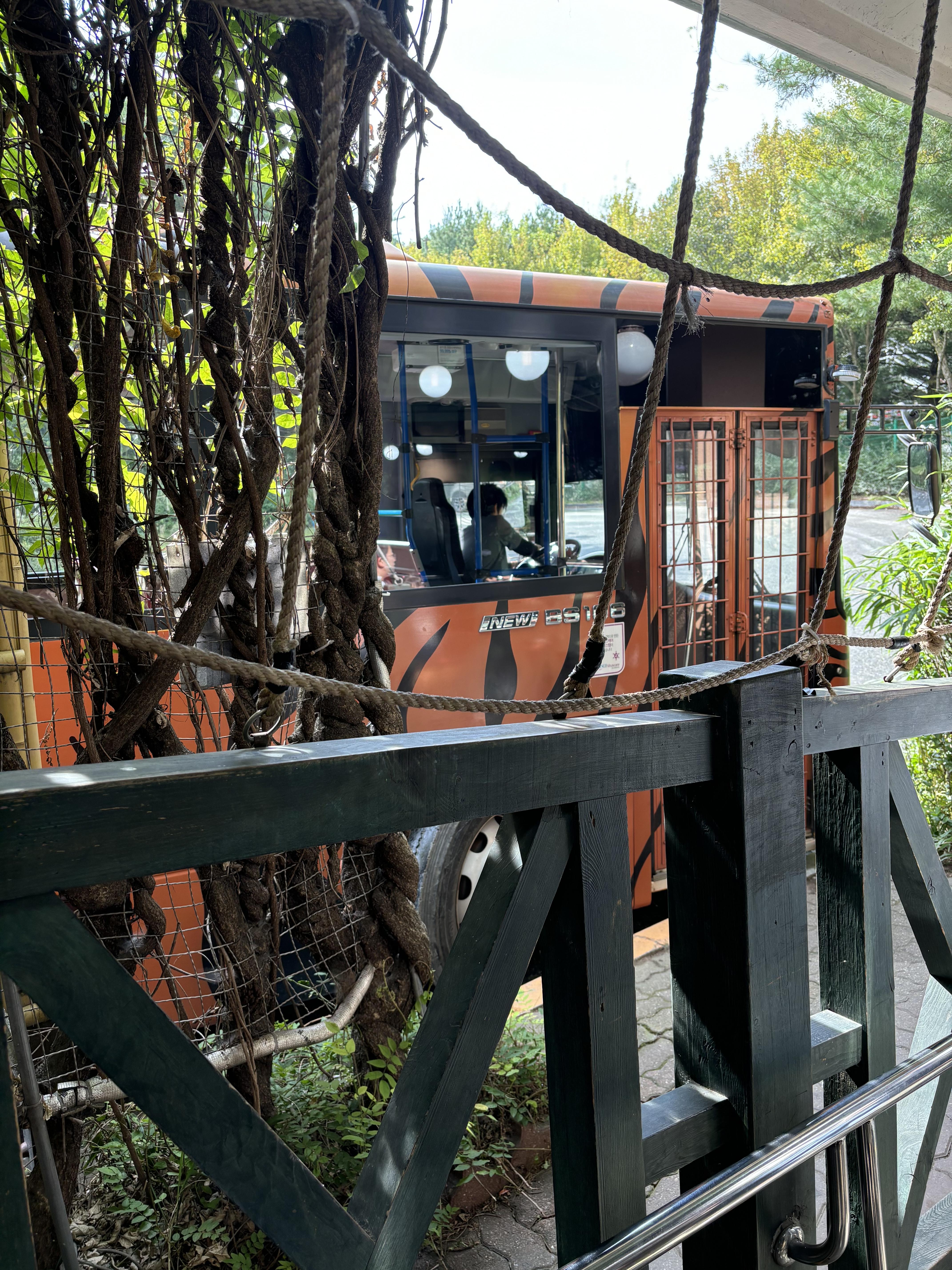 대전오월드 사파리