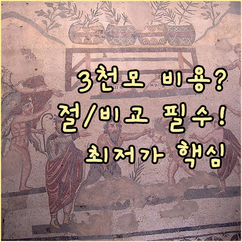 모발이식 3000모 수술 비용 평균 ..