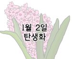이 이미지를 클릭 하시면 1월 2일 탄생화에 관련된 포스팅으로 이동됩니다.
