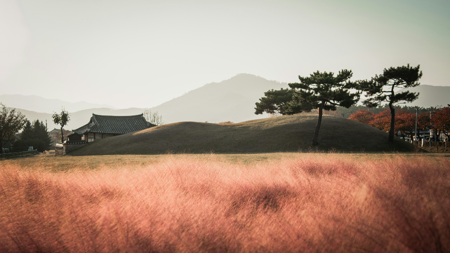 경주 워케이션에서 볼 수 있는 자연 사진
