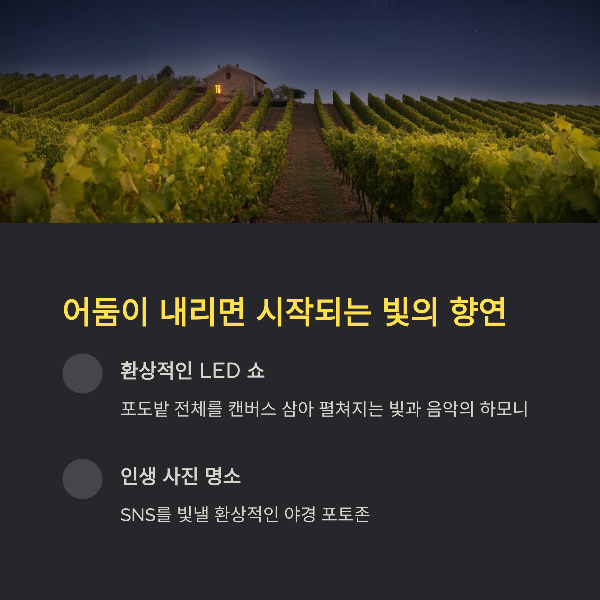 어둠이 내리면 시작되는 빛의 향연