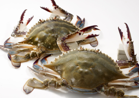 양념게장 만드는법