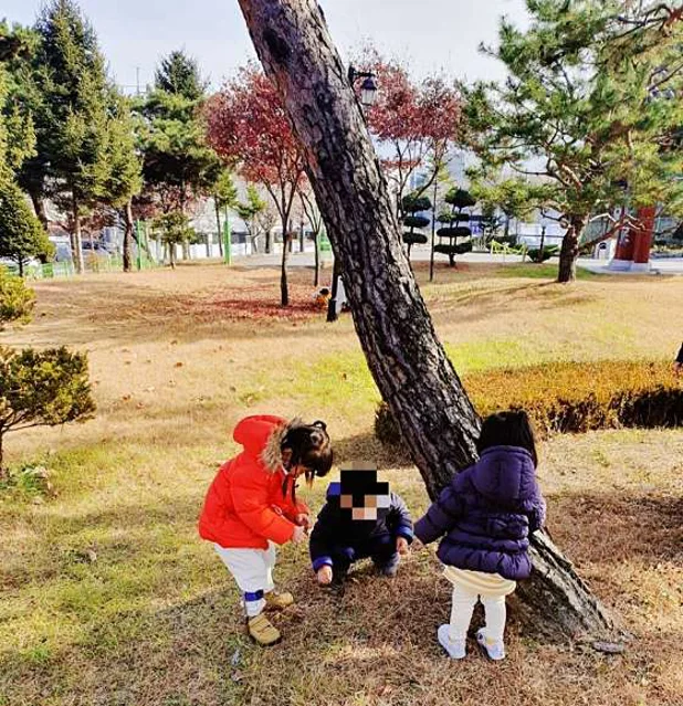 화백나무 유아숲체험원