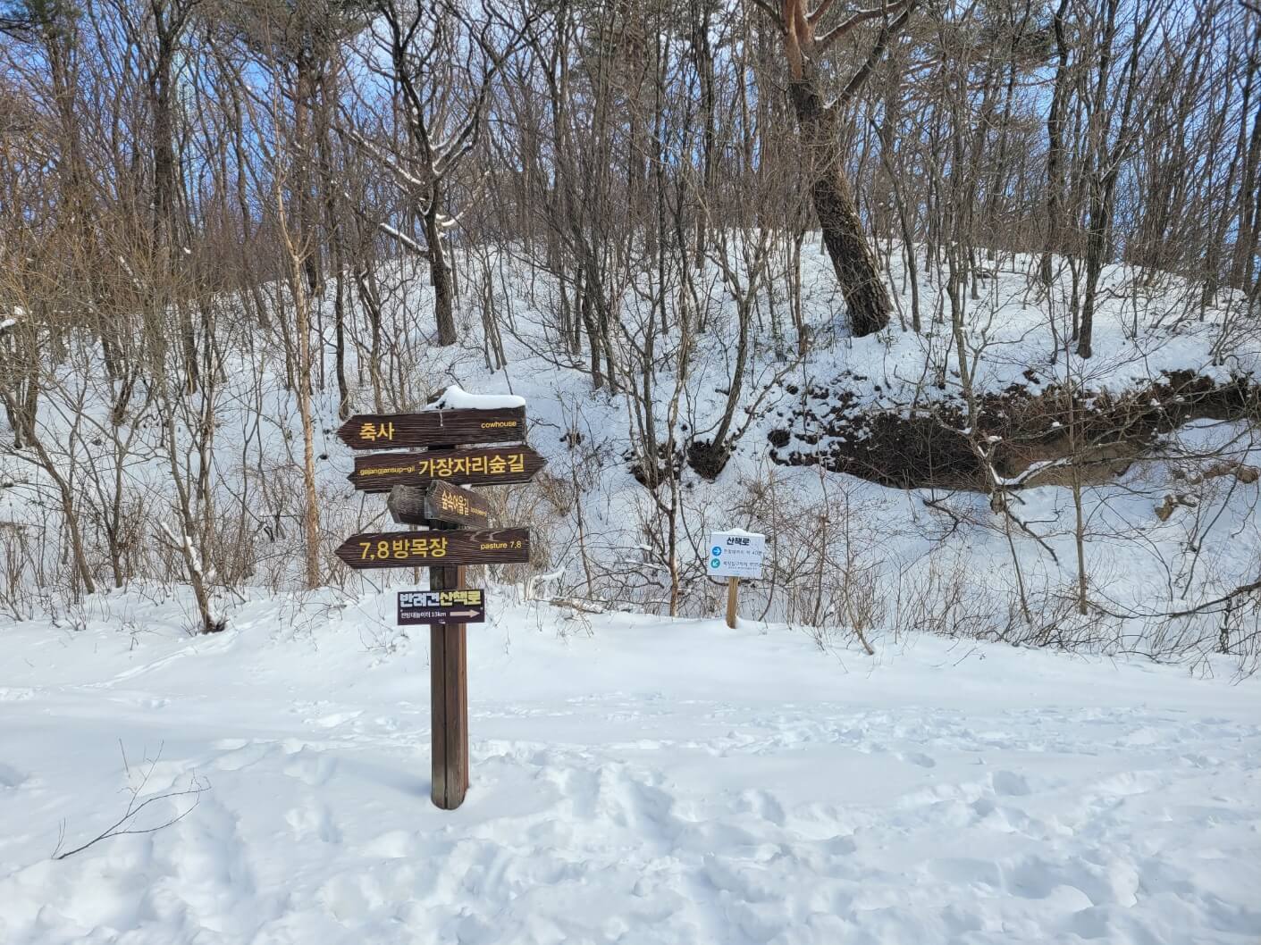 반려견 산책로 표지판