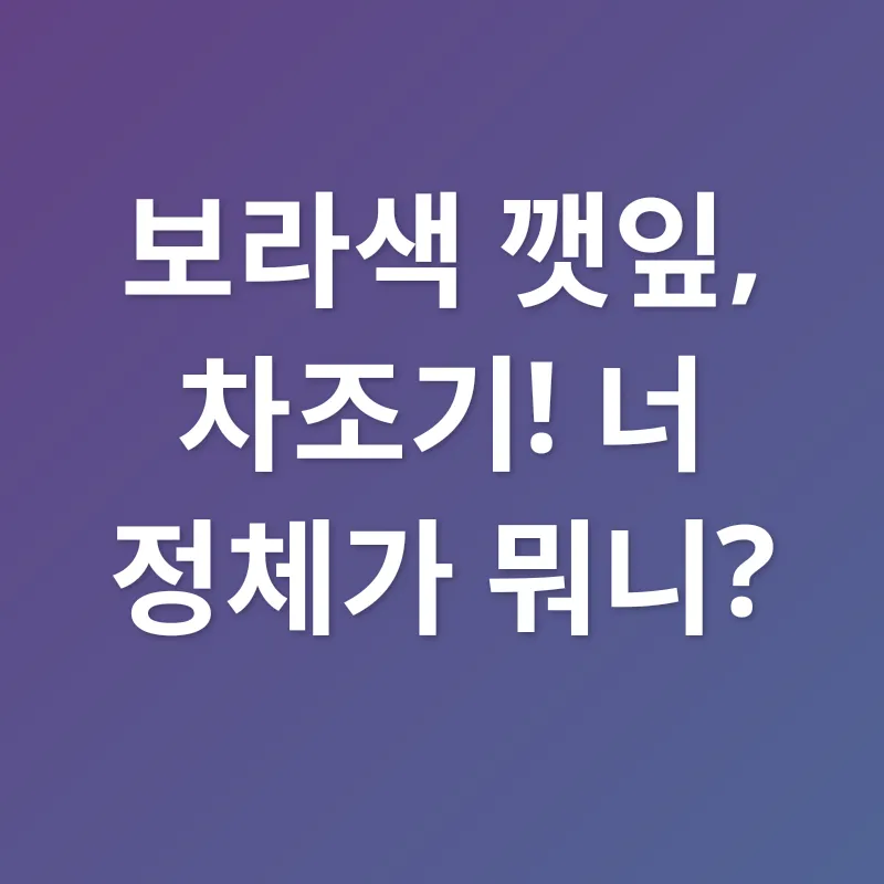 시력 보호_2