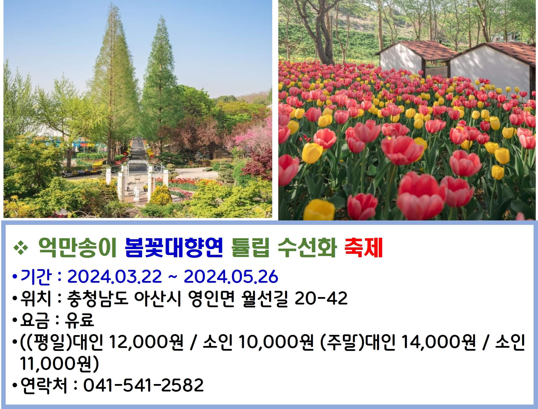 억만송이 봄꽃대향연 튤립 수선화축제