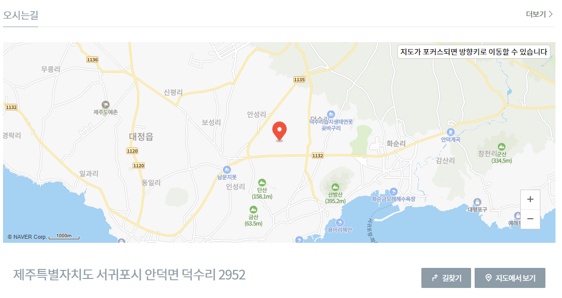 제주도 마노르블랑 핑크뮬리축제 인생사진 찍어봅시다.