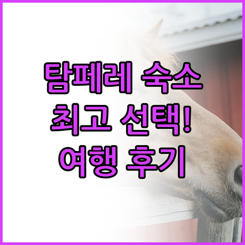 탐페레 여행 숙소 고민 끝 최고의 선