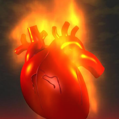 심근염 : 빨간 심장 근육 염증