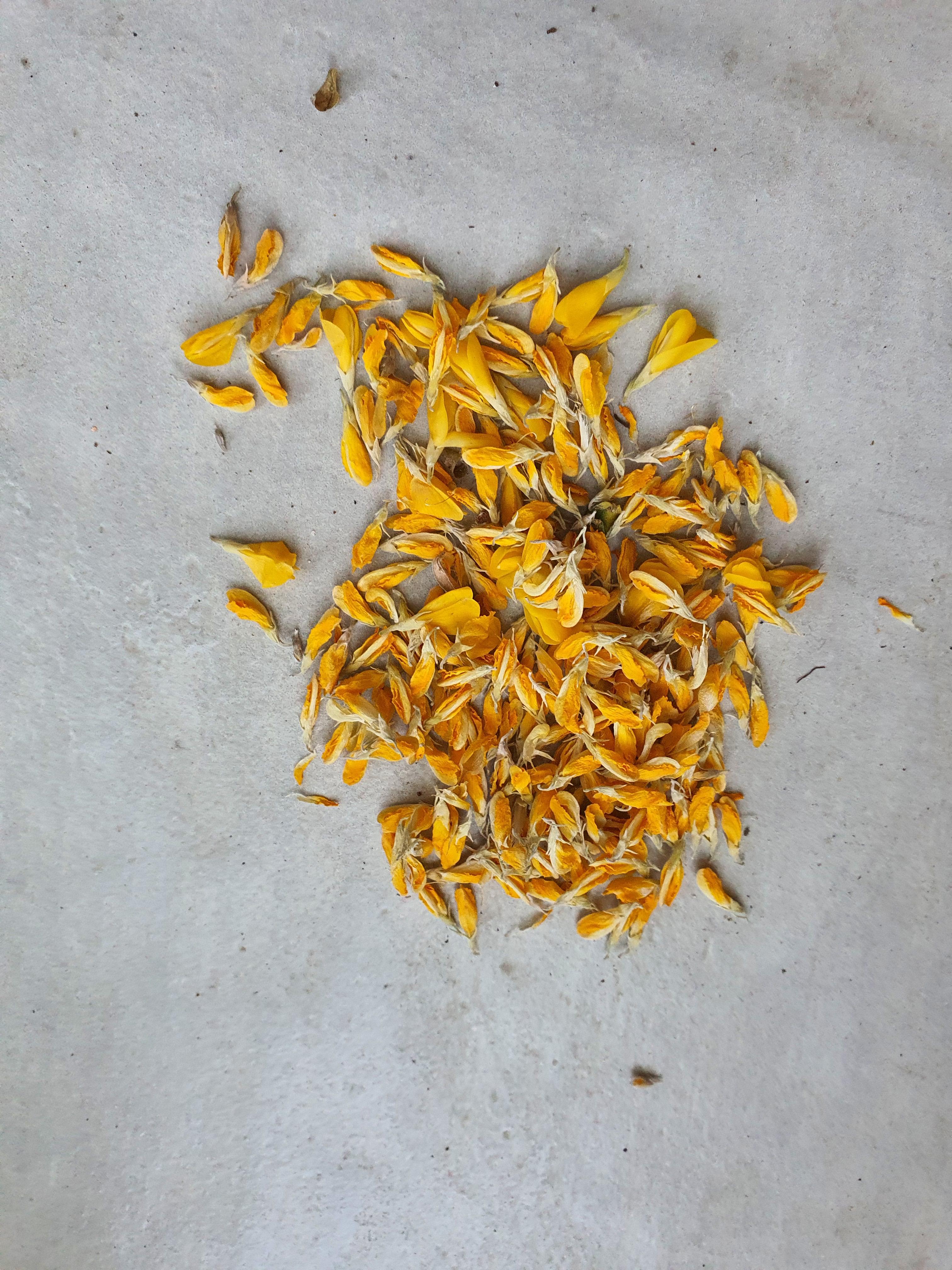 애니시다-2021.04.11