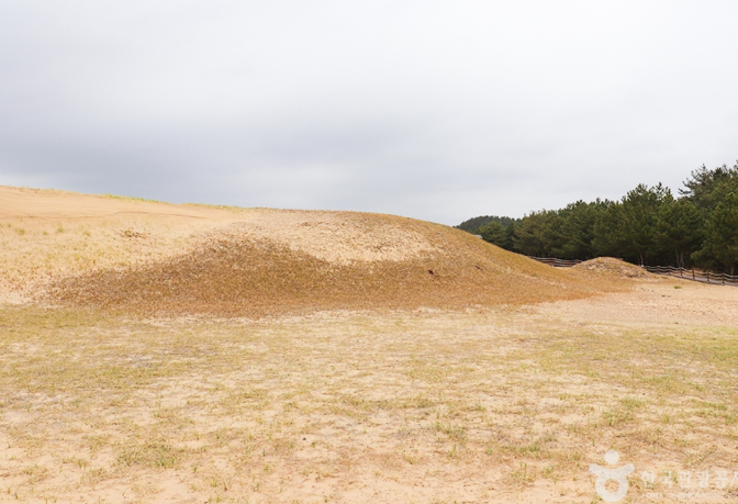 신두리 해안사구