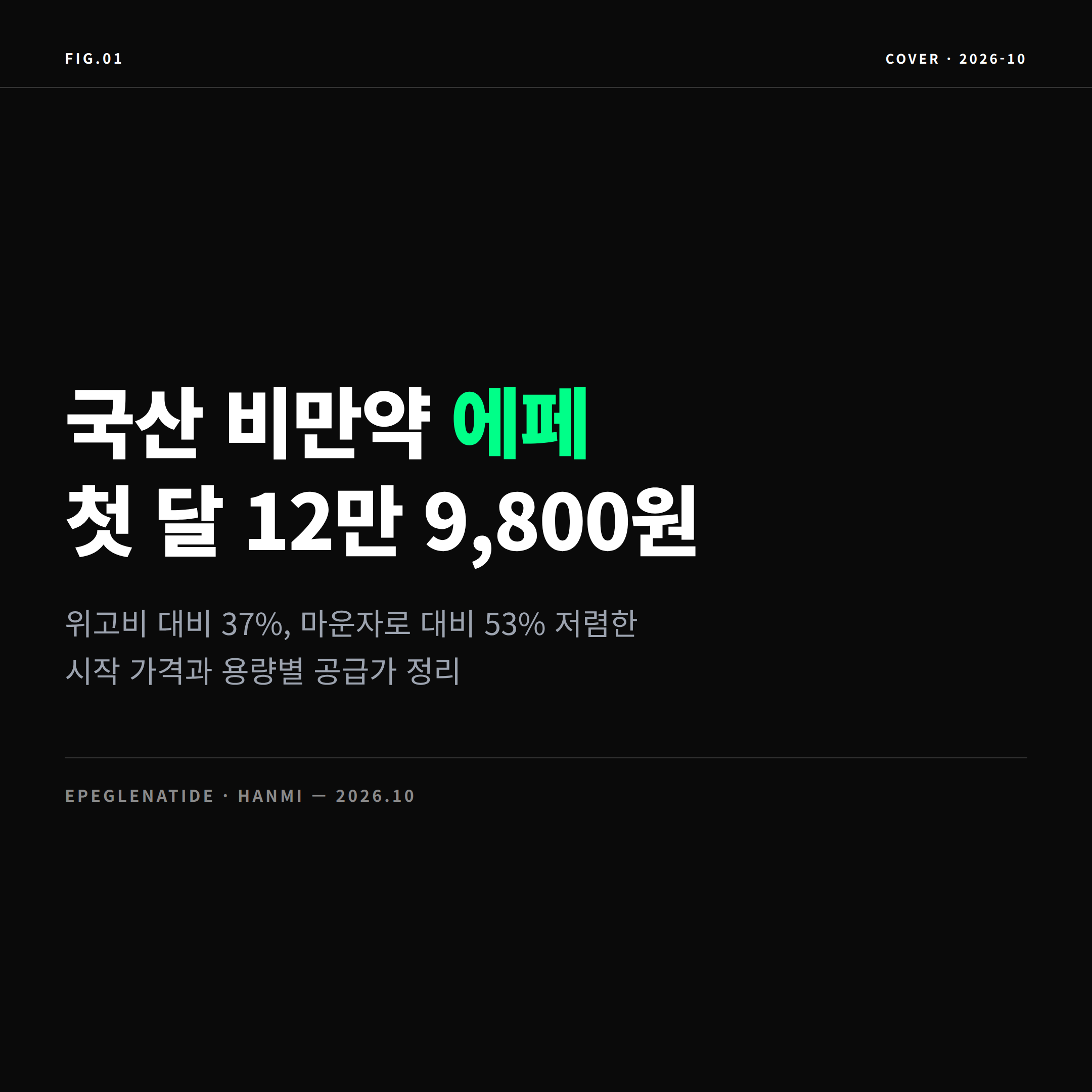 2026 국산 비만약 에페 가격 표지 이미지