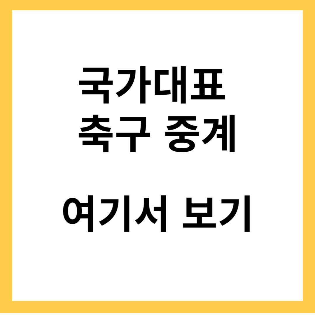 국가대표 축구 중계