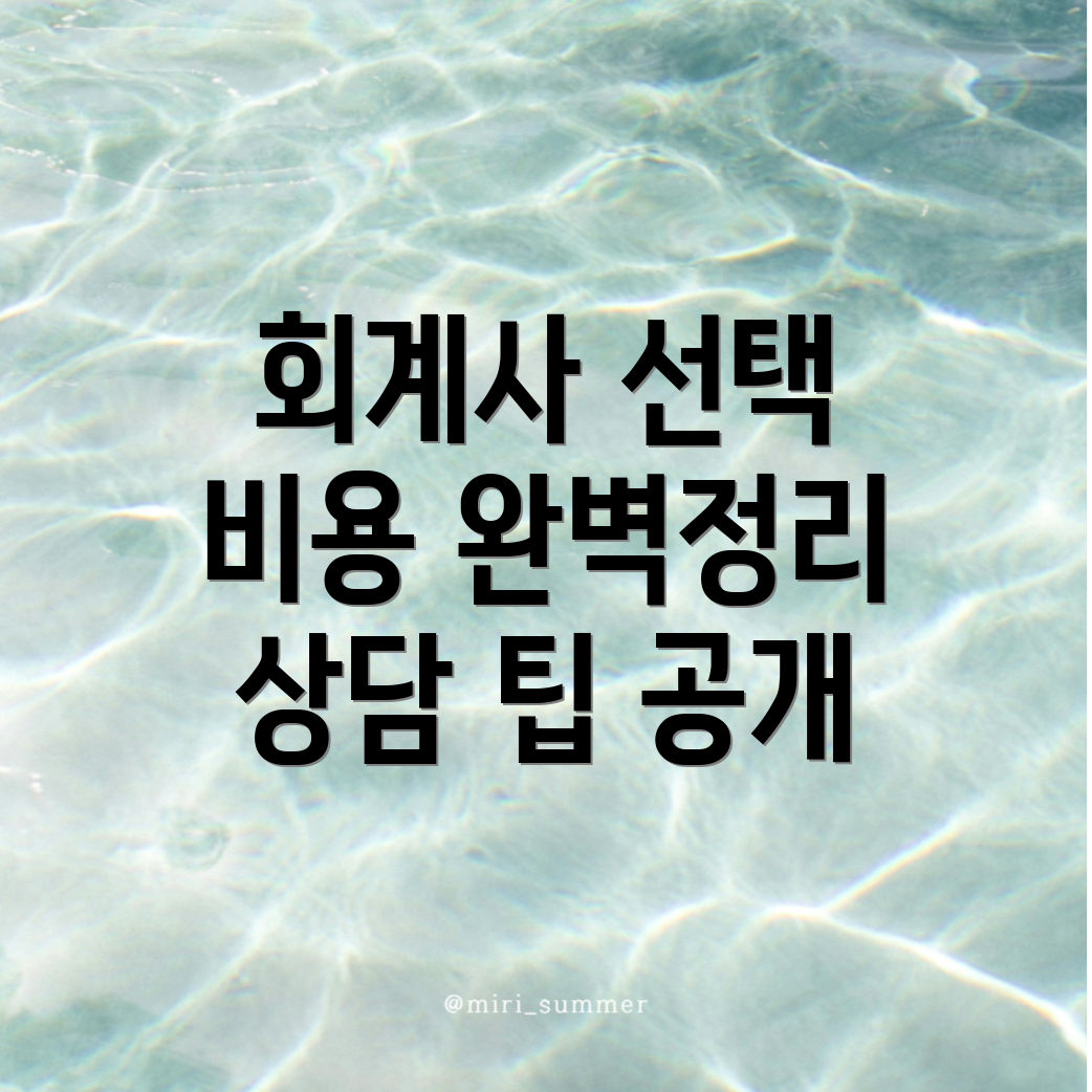 회계사 추천