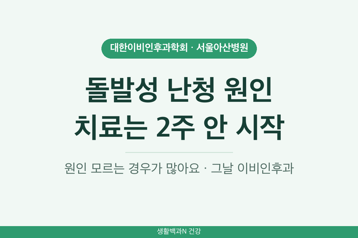 돌발성 난청 원인 치료기간 증상 2주 안 치료 시작 이비인후과