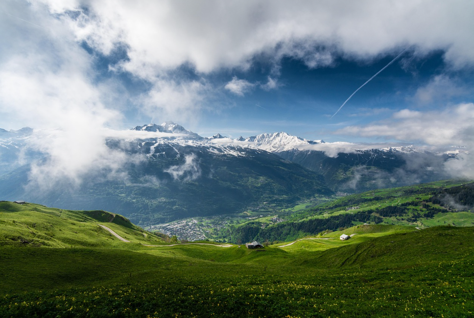 봄 알레르기 완화 방법 (알레르기 원인, 예방, 치료) 관련 사진