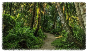 리티디안 포인트