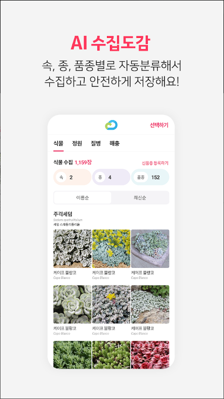 식물이름 찾기 어플, 식물이름 AI 찾기, 병충해 진단, 식물 수집 하기, 버픽