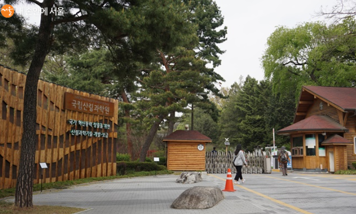 홍릉숲 개방 정보 총정리
